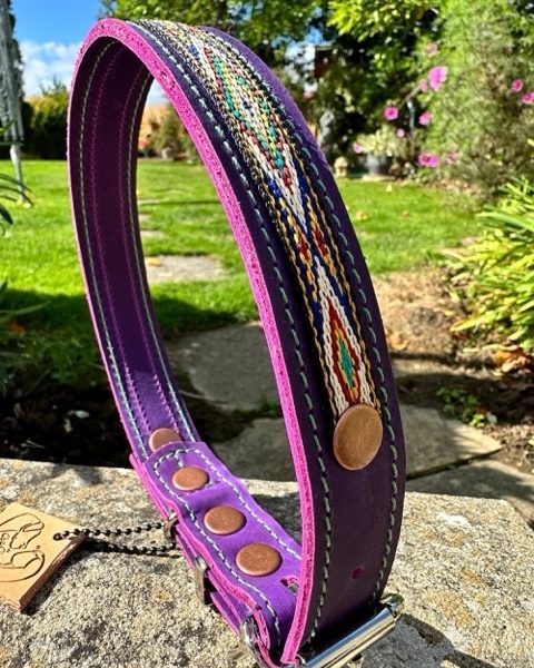 Purple Dog Collar shown from front angle in garden